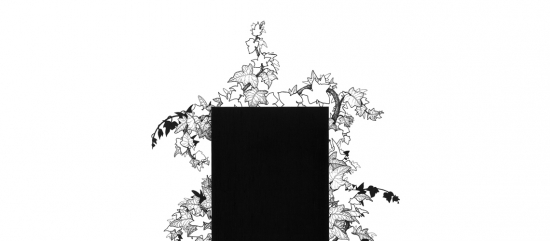 grafica node 20014